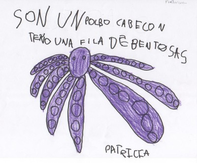 Pulsar para ver a imaxen orixinal